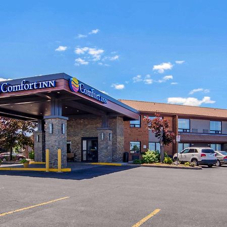 Comfort Inn Sainte-Catherine Extérieur photo